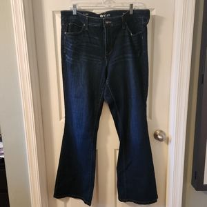 Stylus flare jeans